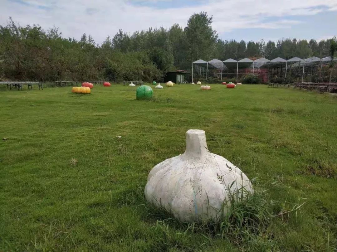 亲子网红庄园,网红亲子农庄在哪里