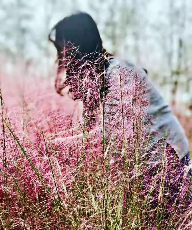 亲子网红庄园,网红亲子农庄在哪里