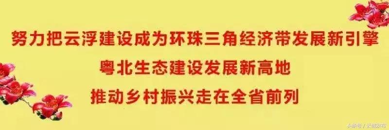 迎新春奇石展,奇石文化节统一展位