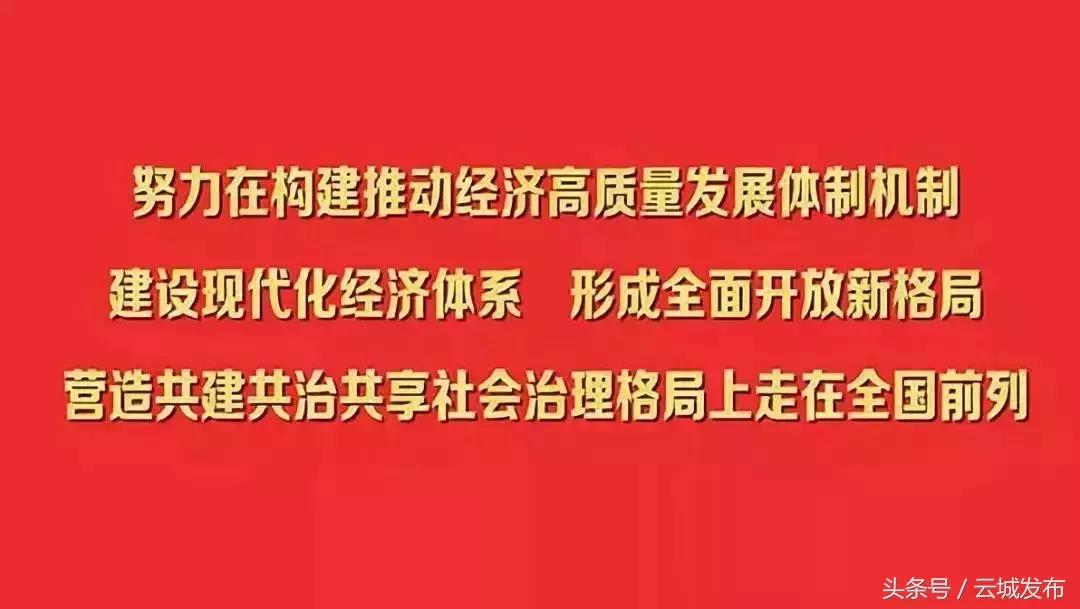 迎新春奇石展,奇石文化节统一展位