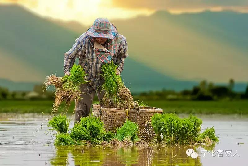 客家人有怎样的饮食文化,广府人客家人潮汕人饮食习惯