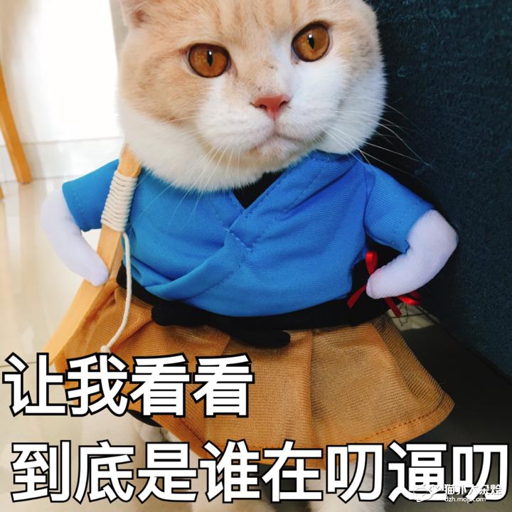 你真可爱下一句回复,你真可爱怎么回