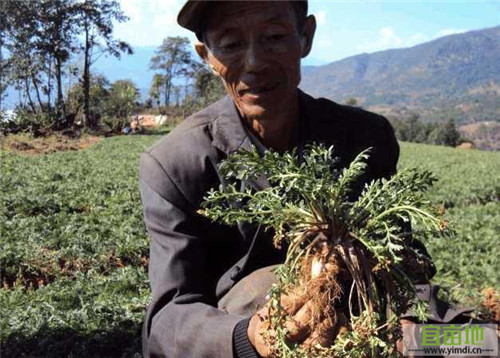 订单农业怎样做,订单农业如何寻找订单