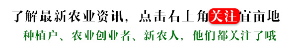 订单农业怎样做,订单农业如何寻找订单