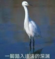 排污管现大量废纸币，一神秘男子跳楼……