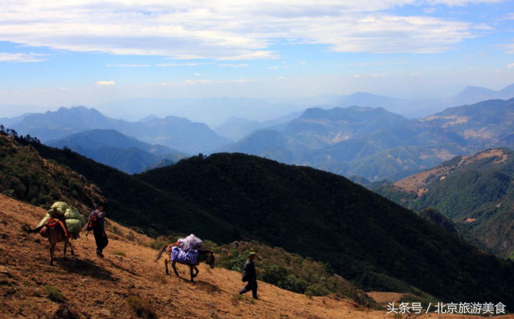 成都康养旅游景点,四川省十大避暑旅游地