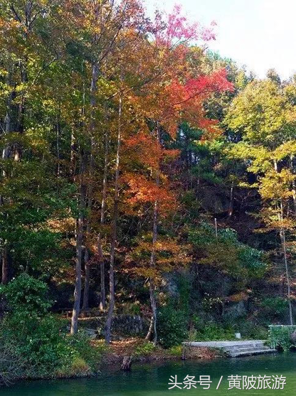 秋色正当时,实时秋色美景