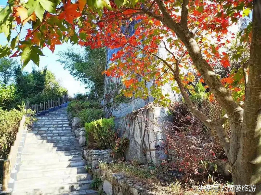 秋色正当时,实时秋色美景