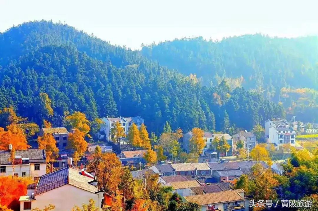 秋色正当时,实时秋色美景