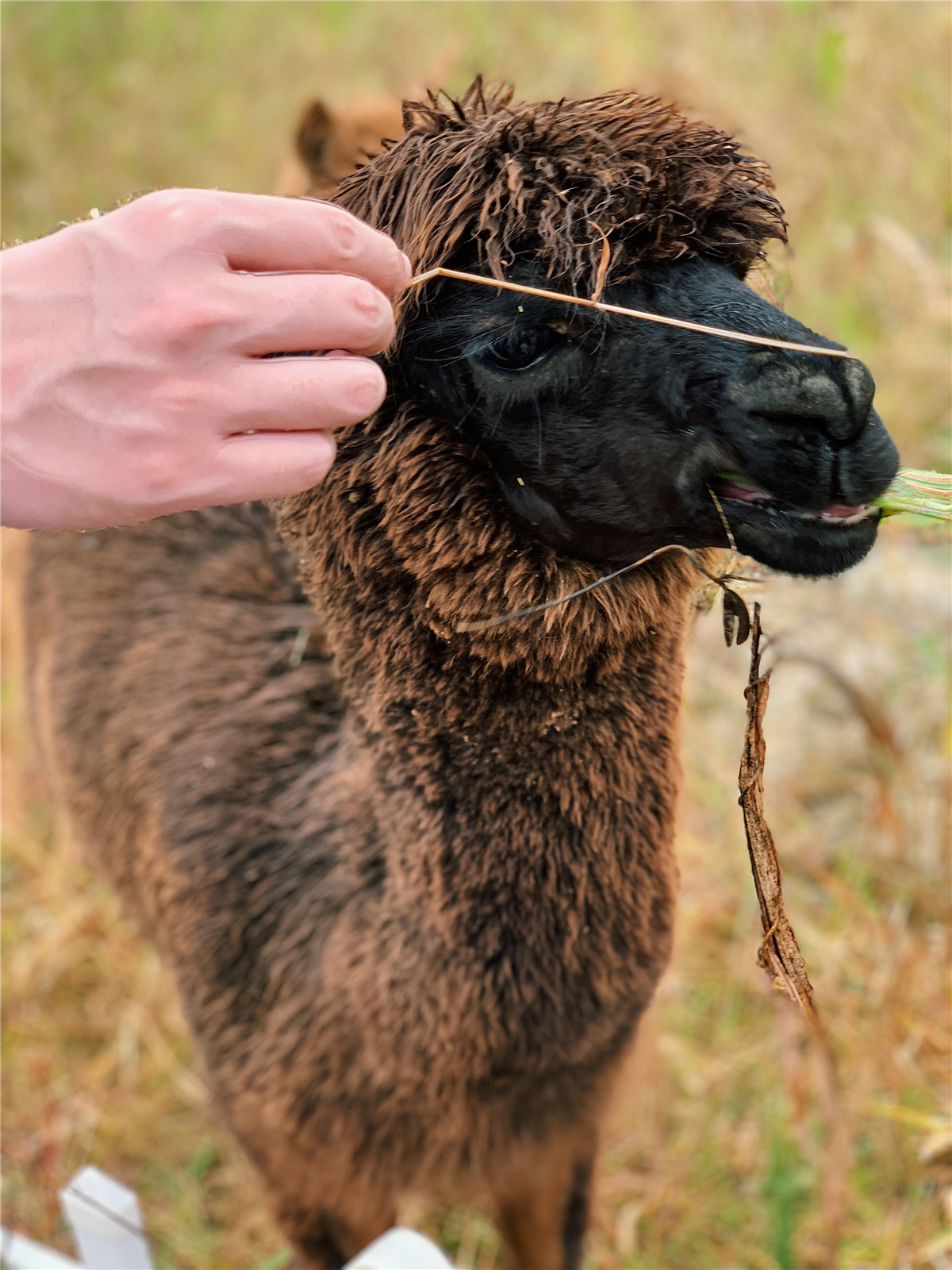 安吉度假亲子游,安吉亲子游推荐