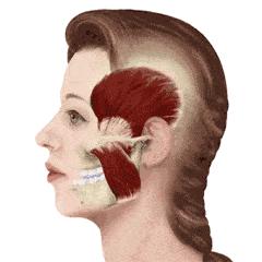 孙思邈搓脚大法,中医养生叩齿的正确方法