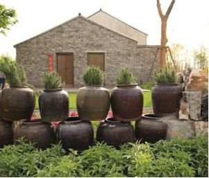 休闲农庄案例分析,特色农庄风景图