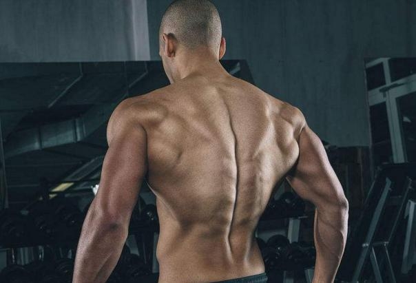 背部练厚好还是背部练薄好,杠铃划船怎样让背部练的更厚