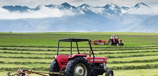 童年时光钙镁锌美国价格,美国童年时光钙镁锌是正品吗