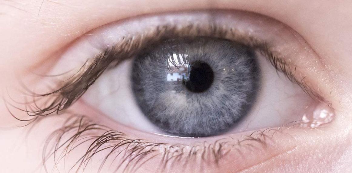 趣味百科错觉,趣味百科和自然探秘