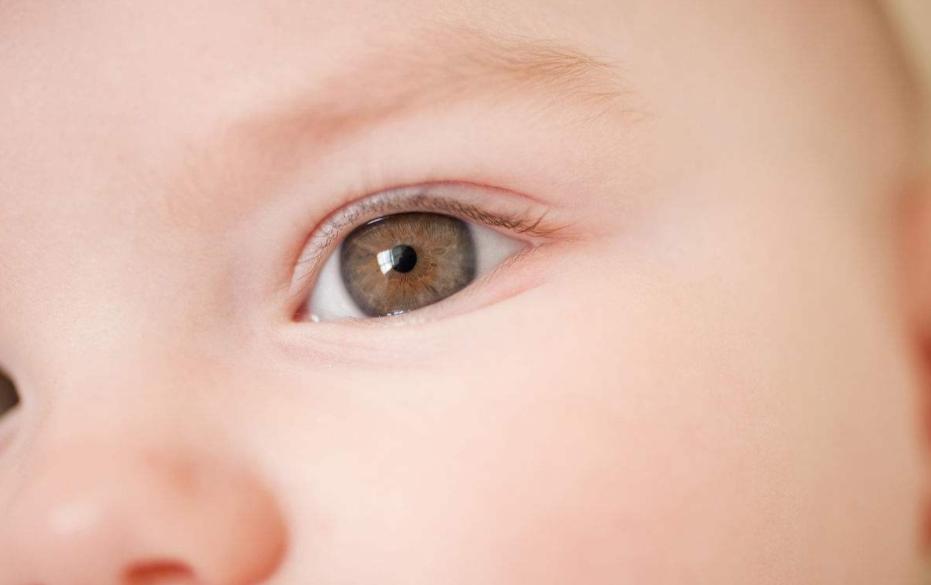 趣味百科错觉,趣味百科和自然探秘