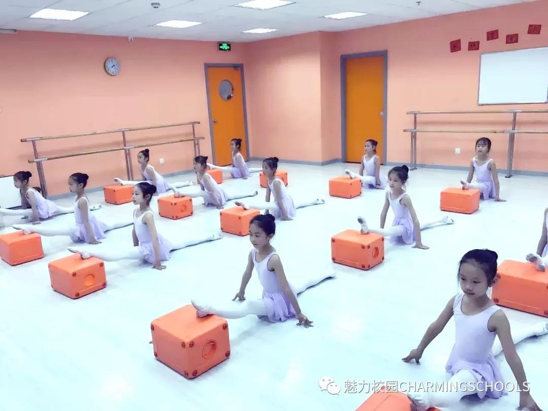 小荧星国际艺术教育机构,上海小荧星少儿培训