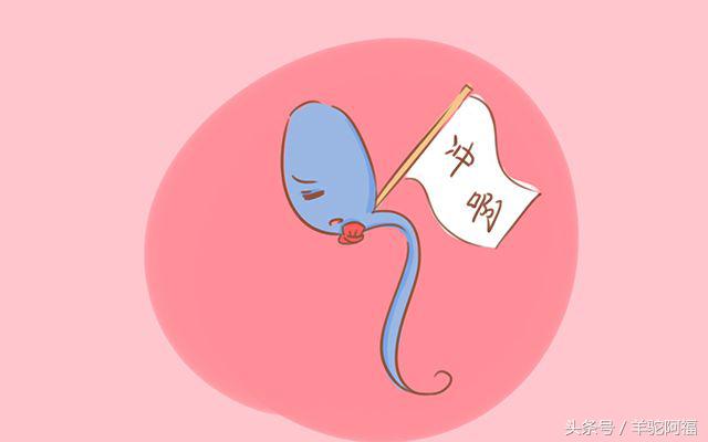 没有受孕的精子最后都去哪了,没有受孕的精子都去哪了