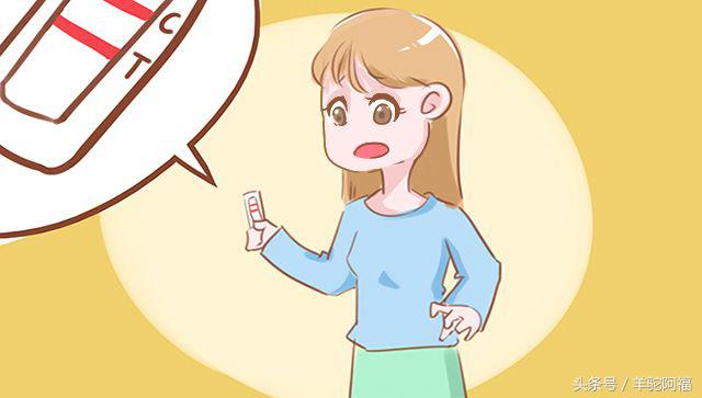 没有受孕的精子最后都去哪了,没有受孕的精子都去哪了