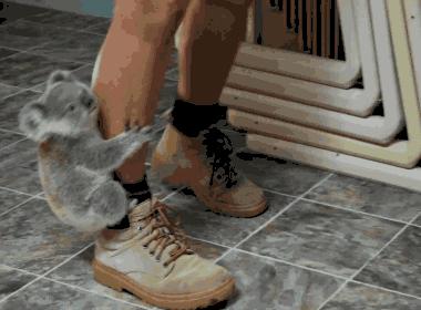 ppt造车的另一种说法,ppt造车成新趋势