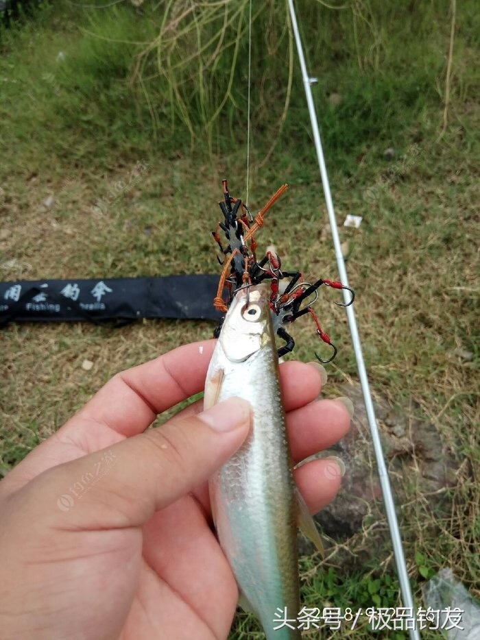 自制硬线翻板钩用多大的钢丝线,自制翻板钩固定器