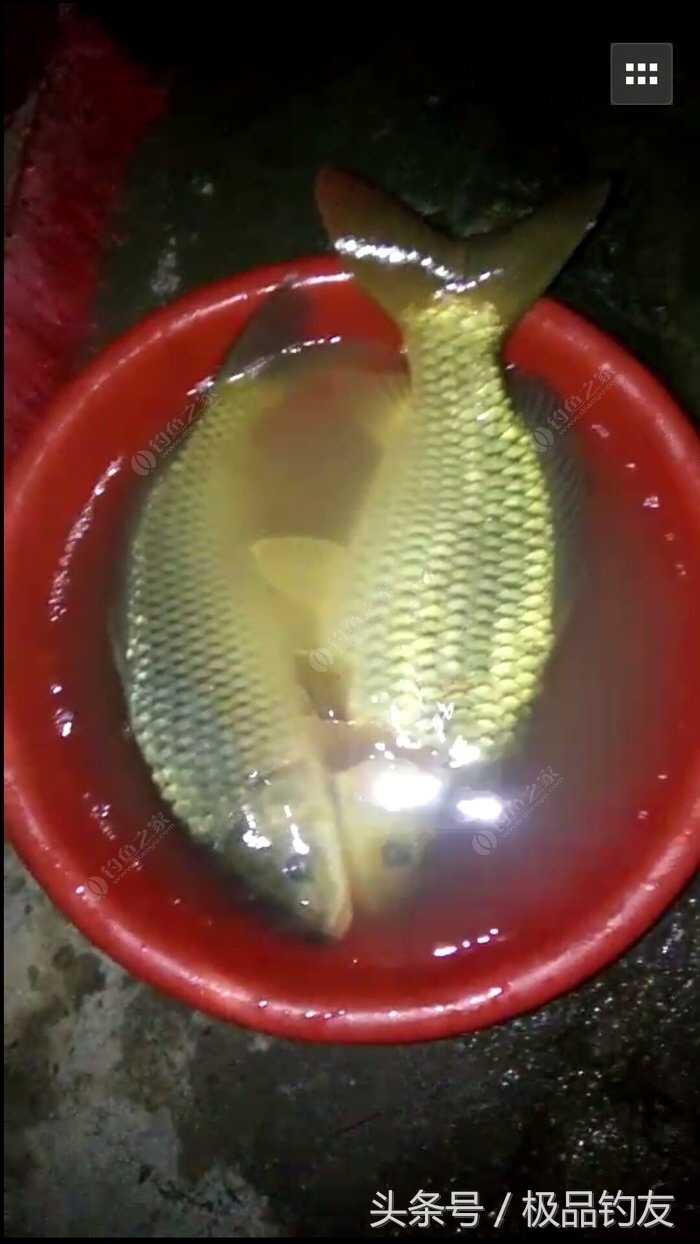 自制硬线翻板钩用多大的钢丝线,自制翻板钩固定器