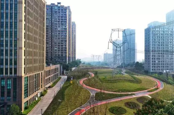 沙坪坝今日关注,沙坪坝人