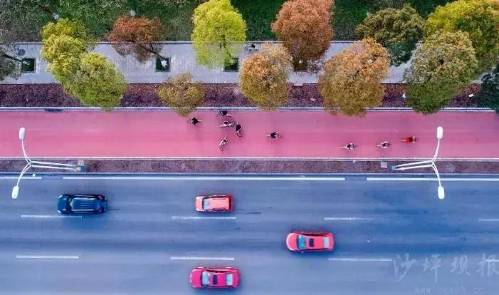 沙坪坝今日关注,沙坪坝人