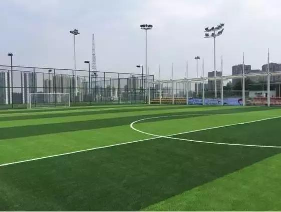 沙坪坝今日关注,沙坪坝人