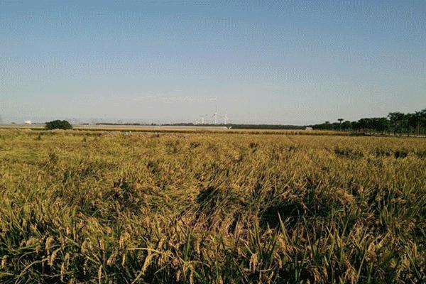 上海适合带孩子玩的农场,上海最好的亲子农场