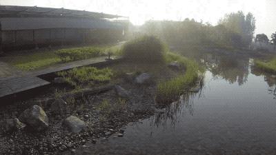 上海适合带孩子玩的农场,上海最好的亲子农场