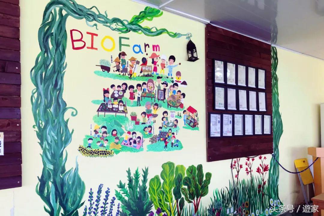 上海适合带孩子玩的农场,上海最好的亲子农场