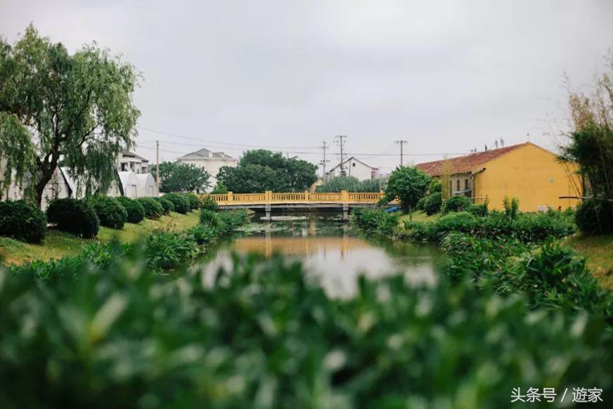 上海适合带孩子玩的农场,上海最好的亲子农场