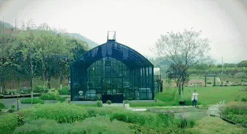 上海适合带孩子玩的农场,上海最好的亲子农场