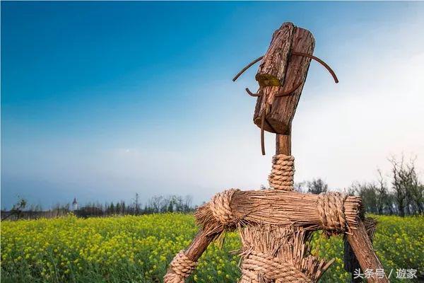 上海适合带孩子玩的农场,上海最好的亲子农场