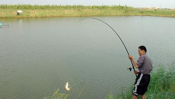 钓鱼钓了一条40斤的大鲫鱼,钓鱼钓了十斤的大鱼