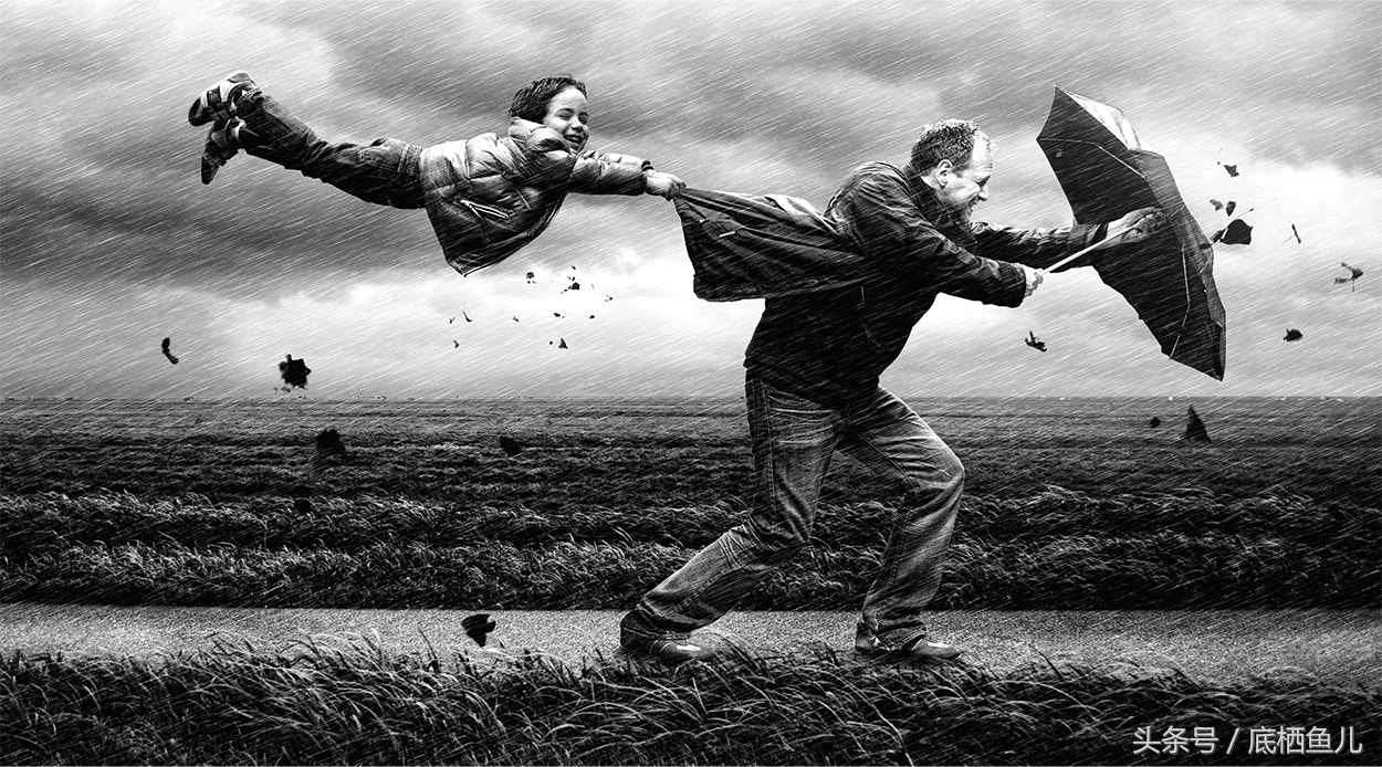 新手养互动性好的小型鱼,好养又皮实的小型鱼