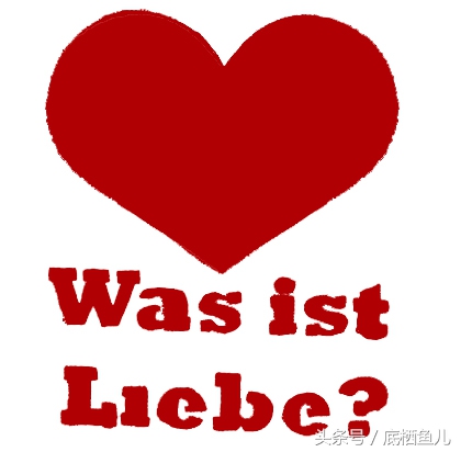 新手养互动性好的小型鱼,好养又皮实的小型鱼