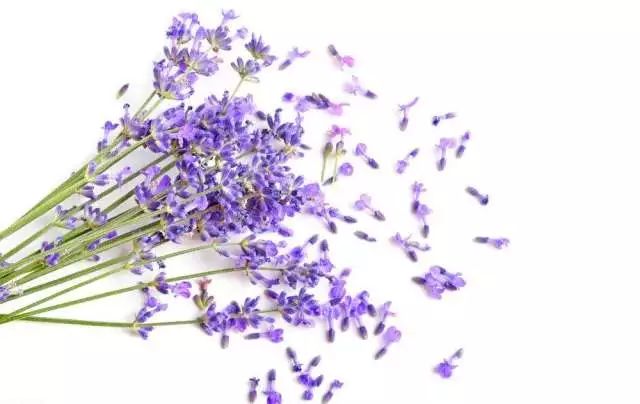 推荐一款卸眼睛很好的卸妆水,这才是真正的平价大碗的卸妆水