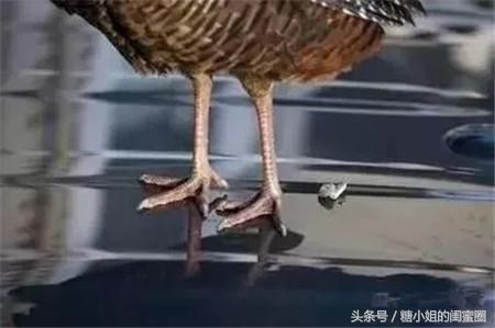 稀奇古怪的面膜,测试一夜爆火的奇葩面膜