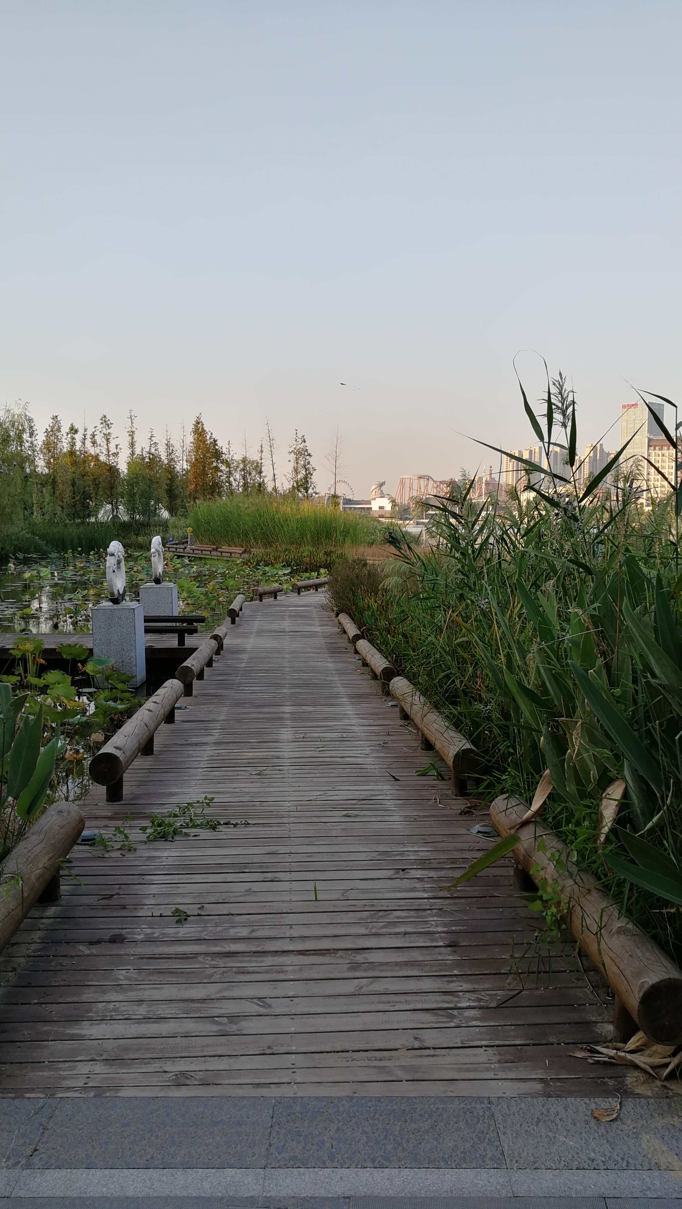 合肥万达广场天鹅湖空中游玩,合肥万达茂旅游攻略