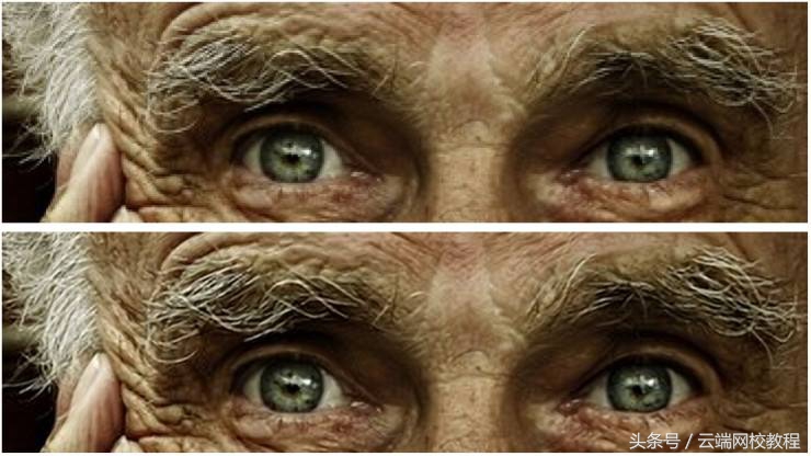 ps基础课之认识位图矢量图,ps位图与矢量图操作步骤