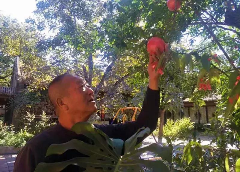 瓜果飘香的丰收季,内蒙古丰收节上瓜果飘香