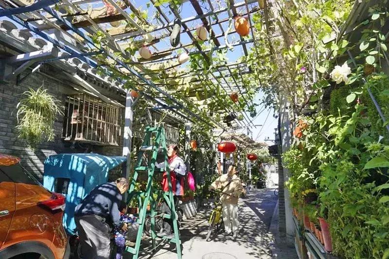 瓜果飘香的丰收季,内蒙古丰收节上瓜果飘香