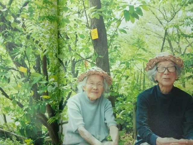 大脑智库教育机构,大脑智库怎么样