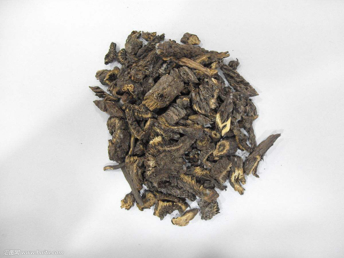 中药材漏芦的别名,中药漏芦