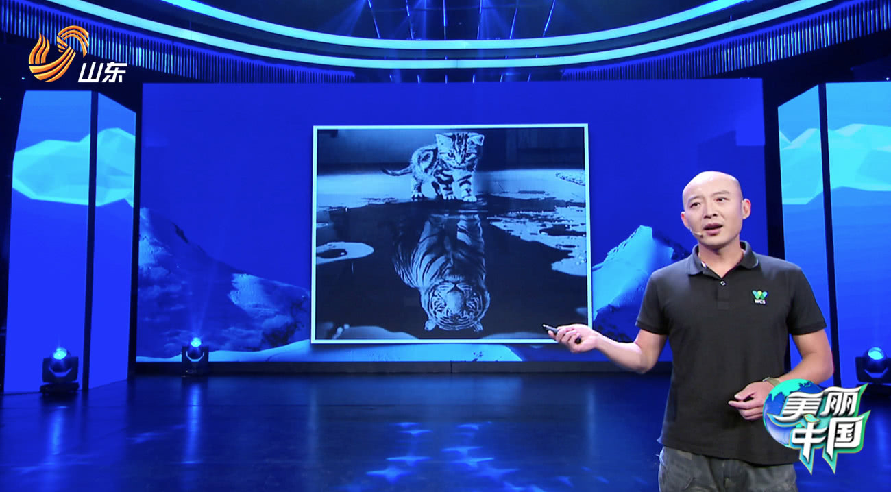 科学家弃高薪归国当“苦行僧”，“雪豹铲屎官”惊现《美丽中国》