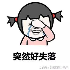 韩国的护肤品现在停产了没,韩国skinfoodbb霜价格