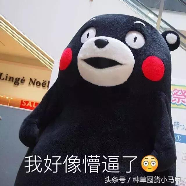 韩国的护肤品现在停产了没,韩国skinfoodbb霜价格