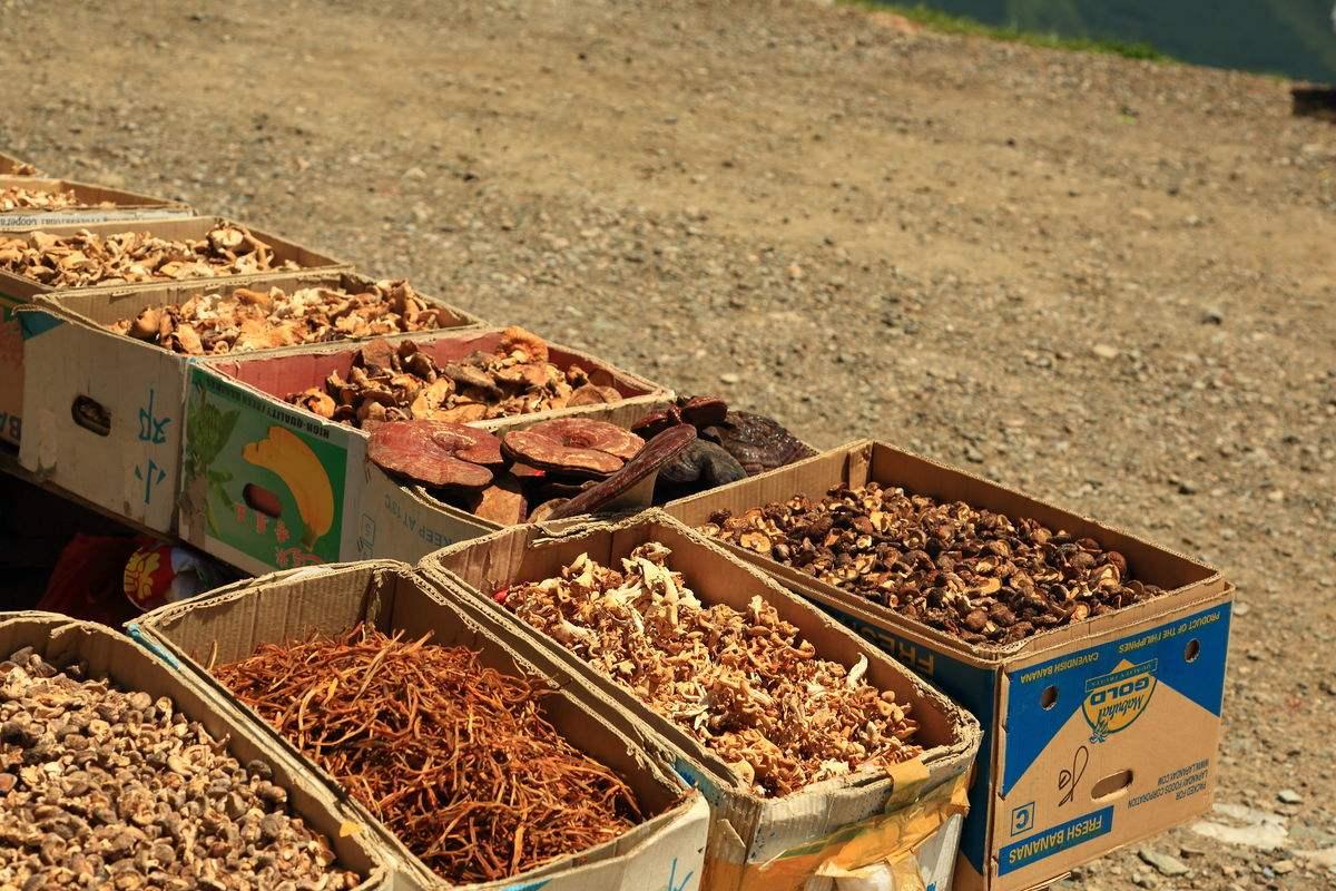 成都流转农房商机,土地流转致富方法